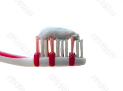 Toothbrush Toothbrush