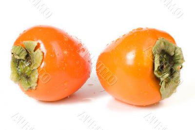 Hachiya Persimmons On White Hachiya Persimmons On White