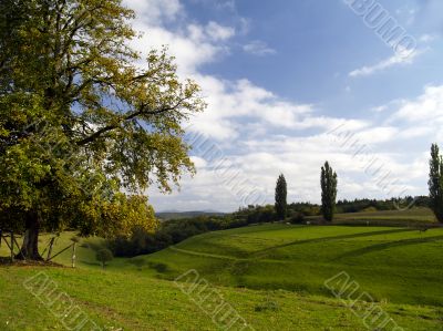 german landscape