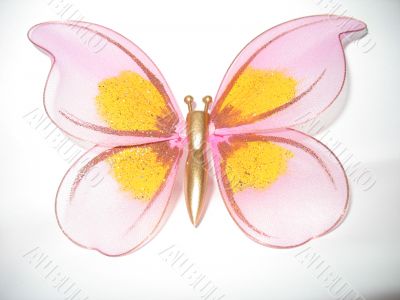 decorative butterfly