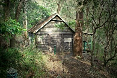 Old Log Cabin 1
