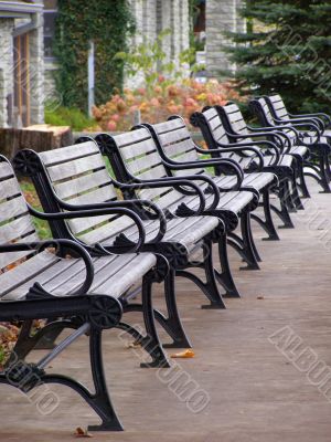 Row of benches in the autumn