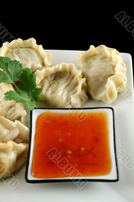 Chinese Dumplings 2