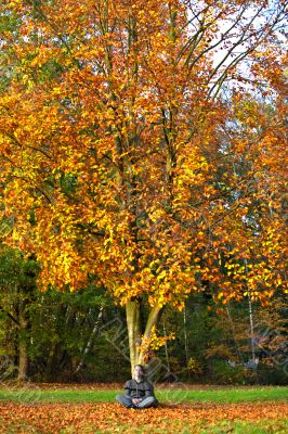 Autumn tree colors