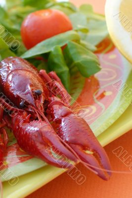 seafood on a plate