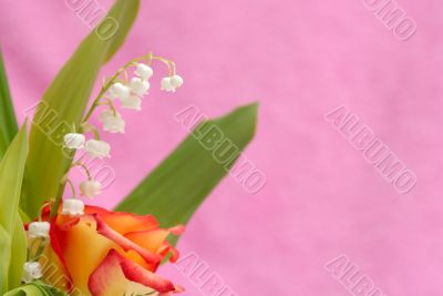 lily of the valley