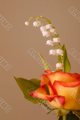 lily of the valley