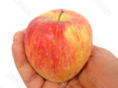 Hand holding an Apple