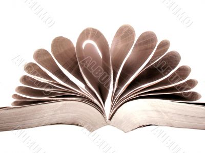 Open book with pages in formation and on white