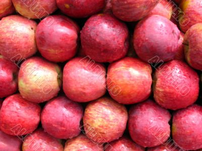 Red apples stacked for show Red apples stacked for show