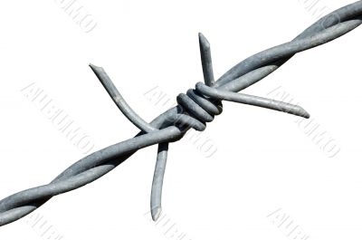 Barb wire