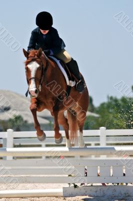 Jumping Horse and Rider