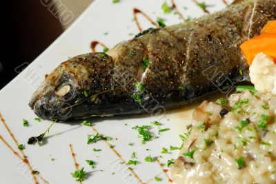 seafood at the restaurant