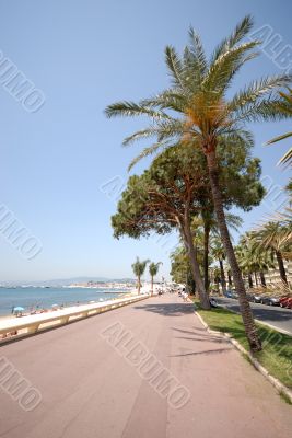 View of Cannes (french riviera)