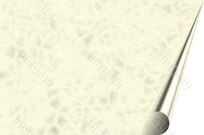 Crumpled Page Curl Up