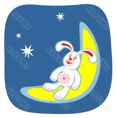 rabbit and moon