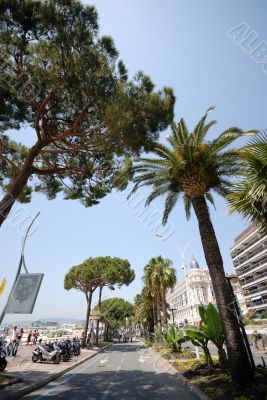 View of Cannes (french riviera)