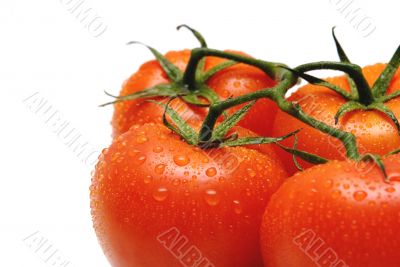 tomato