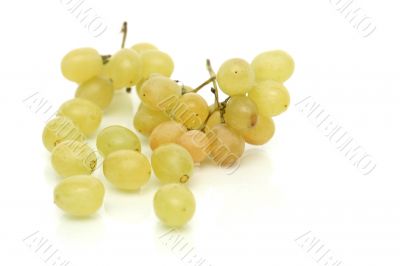 Cluster of green tasty grapes