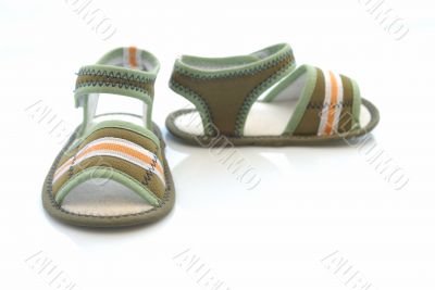 shoe shoe