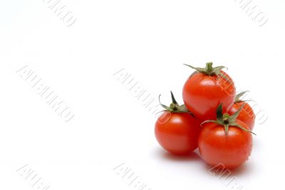 tomato