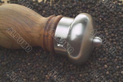 Pepper Mill in Pepper