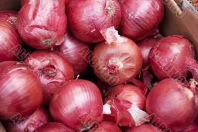 Red Onions