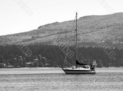 Sailboat