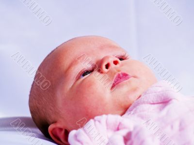 Baby Girl Portrait Baby Girl Portrait