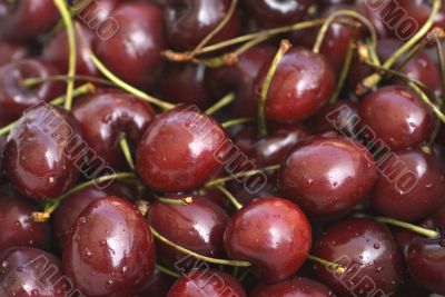 red cherries red cherries