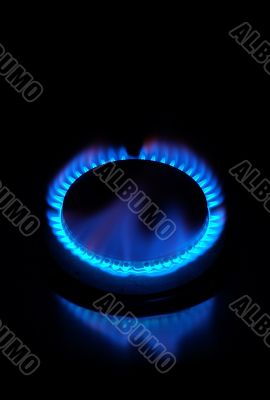 Gas stove