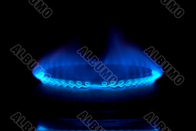 Gas stove