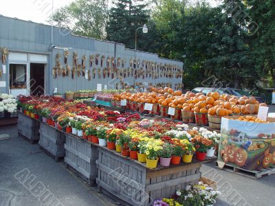 Farmers market