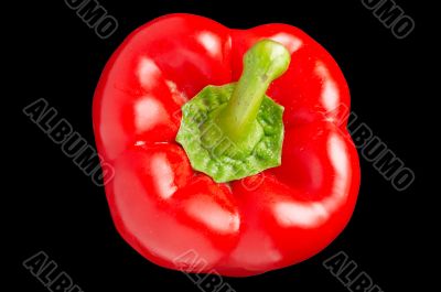 sweet pepper