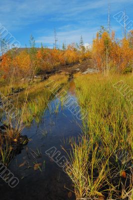 Road on a bog
