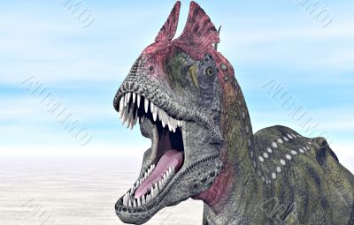 Dinosaur Dinosaur