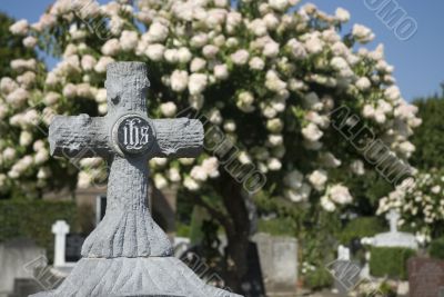 grave-yard grave-yard