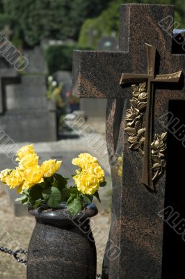 Yellow roses on a grave-yard Yellow roses on a grave-yard