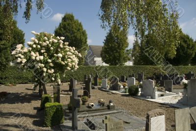 grave-yard grave-yard