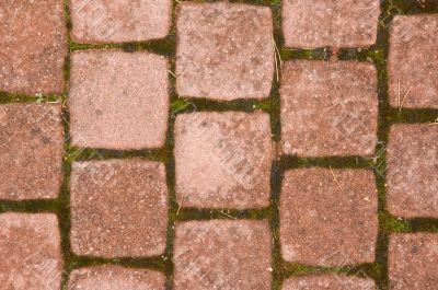 Squared pavement tiles Squared pavement tiles