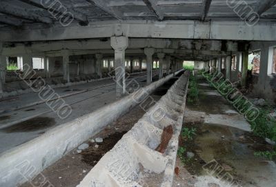 Deserted cattle-breeding a building