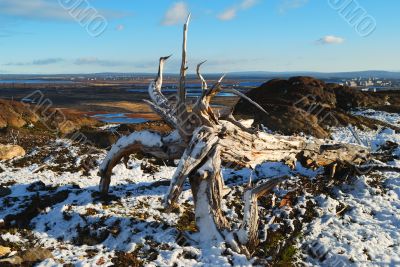 The first snow on mountain