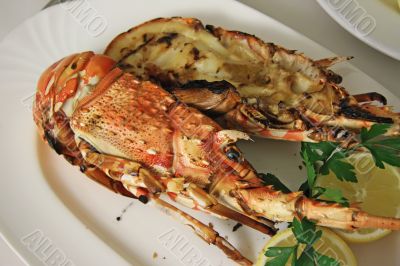 Grilled lobster