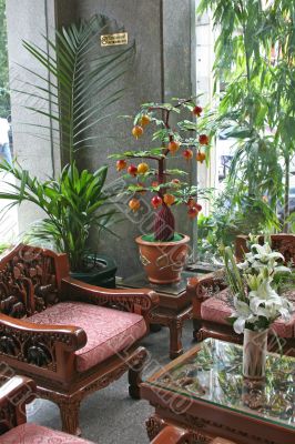 Carved asian furniture