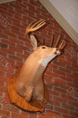 Deer on Brick Deer on Brick