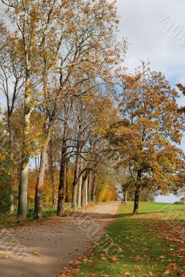 Path in automn