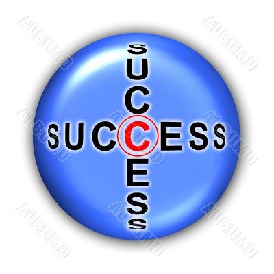 Success Button