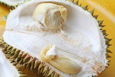 Durian fruit