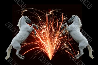 Fireworks and horses