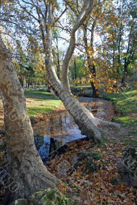 Milan - Sempione Park in november